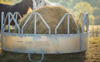 How to Build the Perfect Hay Feeder for Your Livestock Animals