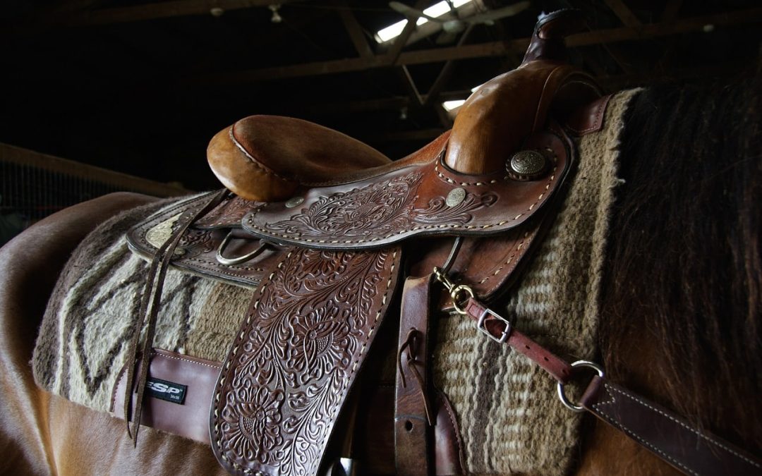 Tips for Properly Caring for Your Leather Horse Tack