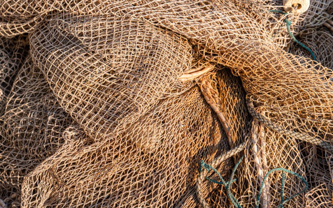 Everything You Should Know About Fishing Nets For Your Small-Scale Commercial Business