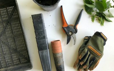 The Importance of Tools and Equipment in Gardening