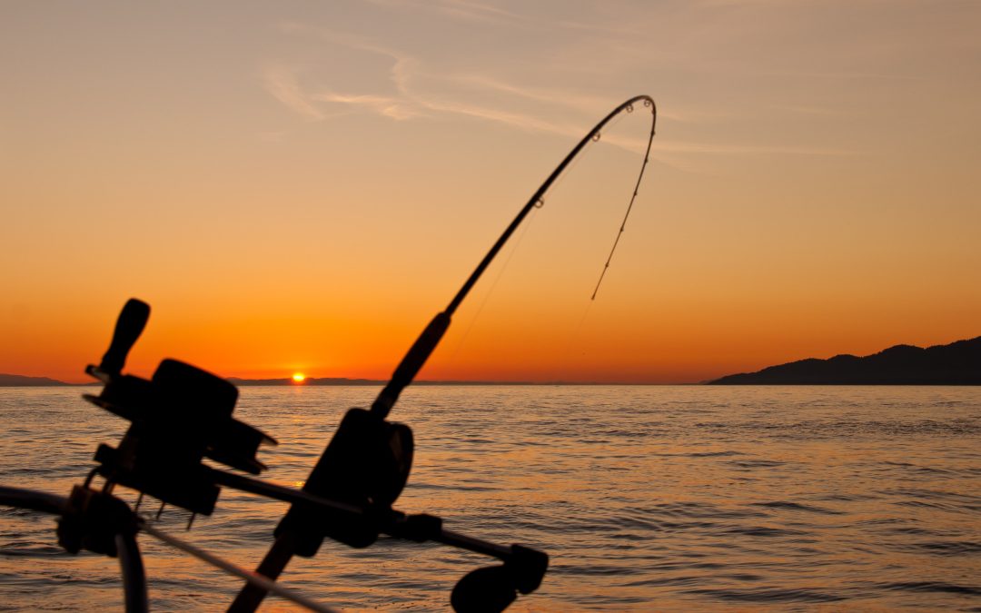 The Importance Of Getting The Right Fishing Gear For Your Next Fishing Trip