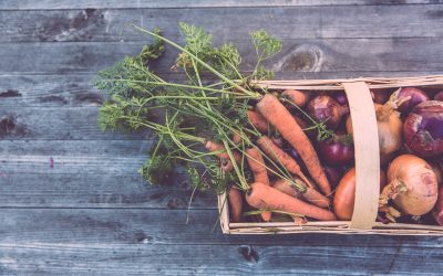 Why Raised Beds Are Better for Flower and Vegetable Gardening