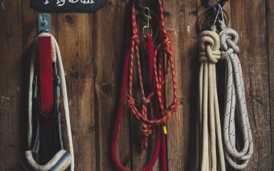 Horse Riding Equipment for Beginners
