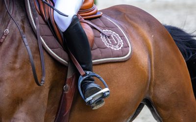 Types of Horse Saddles